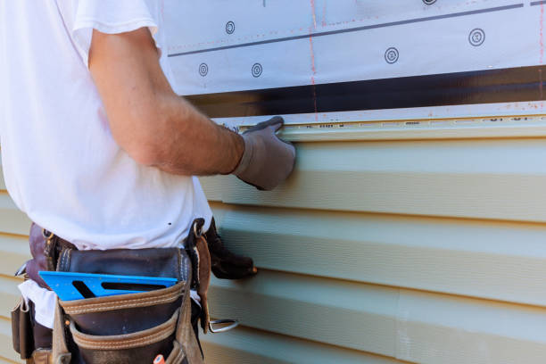 Best Custom Trim and Detailing for Siding  in Dennison, OH